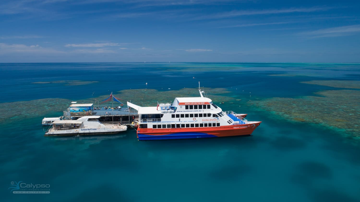 sunlover reef cruises jobs